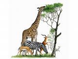 African wildlife - Grant