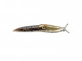 Slug (Caruana