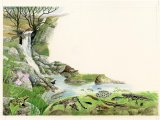 Mountain Stream CG001