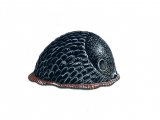Slug (Large Black) Arion ater) OS002