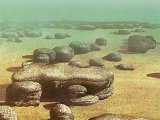P027 - Stromatolites